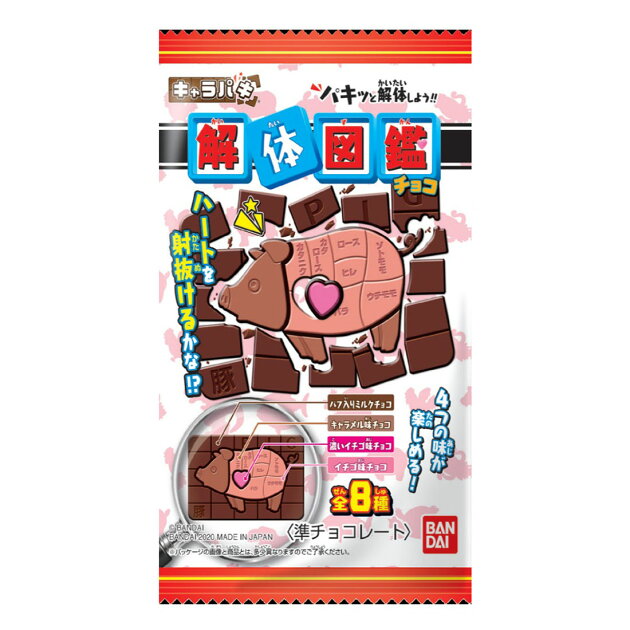 キャラパキ 解体図鑑チョコ 楽天西友ネットスーパー キャラパキ 解体図鑑チョコ 楽天西友ネットスーパー